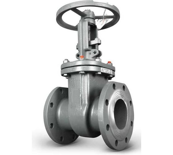 Задвижка ООО ПК «ТЕХГИДРОМАШ» 30с41нж Ду300 Ру16 класс А ТГМ 00-00000093