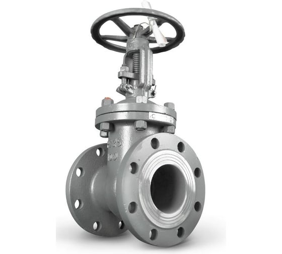 Задвижка ООО ПК «ТЕХГИДРОМАШ» 30с64нж Ду300 Ру25 класс А ТГМ 00-00000131