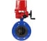 Затвор дисковый поворотный DN.ru GGG40-304-EPDM-2W-F-H Ду50 Ру16 фланц. эл.привод QT-W (M) EX-015 220В с моментной муфтой 220В D050-92210 1
