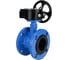 Затвор дисковый поворотный DN.ru GGG40-GGG40-EPDM-2W-H Ду125 Ру16 фланцевый с редуктором RDN-4 D050-90279 1