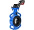 Затвор дисковый поворотный DN.ru QT450-304-EPDM-2W-Fb-ISO-H Ду150 Ру25 межфланцевый с ISO-фланцем F07, квадрат 14 с рукояткой D050-92246 3