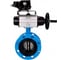 Затвор дисковый поворотный DN.ru GGG40-304-EPDM-2W-F-H Ду50 Ру16 фланцевый с пн.приводом DA-105-1 и позиц. EPRP1-NU-0-08 D050-92202 1