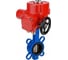 Затвор дисковый поворотный DN.ru WCB-316L-VITON Ду65 Ру16, эл.привод QT-W (M) EX-005 220В D050-93960 1