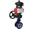 Затвор дисковый DN.ru с тройным эксцентриситетом WCB-304-M-F-ISO Ду150 Ру25, пн.привод DA-160, БКВ LSB-410-02ExM12-250, руч.дубл. HDM-4 D050-94661 1