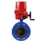 Затвор дисковый DN.ru поворотный GGG40-304-EPDM-2W-F-H Ду80 Ру16 фланцевый электропривод QT-W (M) EX-015 380В с моментной муфтой 380В D050-92219 1
