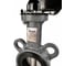 Дисковый поворотный затвор REON DN125 тип RSV85 / NBR - уплотнение, Disc - AISI316 (PN16, Траб.=70С, Тmax=90С) СЕРЫЙ 125RSV85 2