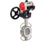 Затвор DN.ru 316L-316L-PTFE Ду100 Ру16, с пневмоприводом DA-105, пневмораспределитель PND1-T10-220VAC NAMUR, РД HDM-3 D050-116651 1