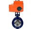 Затвор DN.ru WCB-304-M-F-ISO Ду65 Ру25 с электроприводом QT2-010-24VDC D050-107616 1