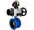 Затвор дисковый DN.ru GGG40-304-EPDM-2W-F-H Ду80 Ру16 фланц., с пневмоприводом DA-105-1, пневмораспределитель PND2-S1EM-52-1NC-J08-220VAC, БКВ LSB-510-02ExM12-250 D050-92160 1