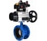 Затвор дисковый DN.ru GGG40-304-EPDM-2W-F-H Ду80 Ру16 фланц., с пневмоприводом DA-105-1, пневмораспределитель PND2-S1EM-52-1NC-J08-24VDC, БКВ LSB-410-02ExM12-250, БПВ APU1-10-40-V08 D050- D050-92188 1