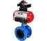 Затвор дисковый DN.ru GGG40-GGG40-EPDM-2W-H Ду200 Ру16 фланц., пневмопривод DA-140, пневмораспределитель PND2-S1EM-52-1NC-J08-220VAC, БКВ LSB-210-02NM12-220/24 D050-90377 1