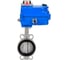 Затвор DN.ru 304-304-EPDM-2W-Fb-H Ду50 Ру16, с электроприводом 003 blue 12В D050-107985 1