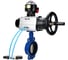 Затвор DN.ru GGG50-316L-EPDM Ду150 Ру16, с пн.прив. DA-105-1, пн.распр. PND1-T10-220VAC NAMUR, БКВ LSB-510 D050-105346 1