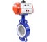 Затвор DN.ru WCB-316L-PTFE Ду100 Ру16, с пн.прив. SA-140 D050-94837 1