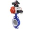 Затвор DN.ru WCB-316L-PTFE Ду50 Ру16, с пн.прив. DA-083, пн.распр. PND1-T10-220VAC NAMUR, БКВ LSB-410 D050-118381 1