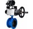Затвор DN.ru дисковый поворотный GGG40-304-EPDM-2W-F-H Ду65 Ру16 фланцевый с пневмоприводомодом DA-105-1 и позиционером EPRP1-NU-0-08 D050-92203 1