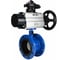 Затвор DN.ru дисковый поворотный GGG40-304-EPDM-2W-F-H Ду80 Ру16 фланцевый с пневмоприводом DA-105-1 и БКВ LSB-210-02NM12-220/24 D050-92128 1