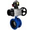 Затвор DN.ru дисковый поворотный GGG40-304-EPDM-2W-F-H Ду65 Ру16 фланцевый с пневмоприводом DA-105-1 и БКВ LSB-510-02ExM12-250 D050-92135 1