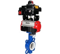 Затвор DN.ru WCB-316L-PTFE Ду100 Ру16, с пн.прив. DA-105, пн.распр. PND2-220VAC NAMUR, БКВ LSB-410 D050-94876