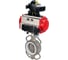 Затвор DN.ru WCB-316L-PTFE Ду125 Ру16, с пн.прив. SA-140, пн.распр. PND2-24VDC NAMUR, БКВ LSB-210 D050-94977 1