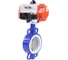 Затвор DN.ru WCB-316L-PTFE Ду50 Ру16, с пн.прив. SA-105, пн.распр. PND1-T10-220VAC NAMUR D050-118601 1