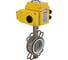 Затвор DN.ru WCB-316L-PTFE Ду100 Ру16, с электроприводом QT-015 220В D050-95330 1