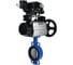 Затвор DN.ru QT450-304-EPDM-2W-Fb-ISO-H Ду125 Ру25, с пн.прив. DA-105-1, позиционером EPRP1-NU-Fb-08 D050-96951 1