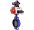 Затвор DN.ru WCB-316L-EPDM Ду40 Ру16, с пн.прив. SA-083, пн.распр. PND1-T08-220VAC NAMUR, БКВ LSB-410 D050-117647 1