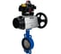 Затвор DN.ru QT450-304-EPDM-2W-Fb-ISO-H Ду125 Ру25, с пн.прив. DA-105-1, БКВ LSB-410 D050-96901 1