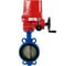 Затвор DN.ru QT450-304-EPDM-2W-Fb-ISO-H Ду80 Ру25, с электроприводом EX-010 380В D050-96835 1