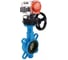 Затвор DN.ru GGG50-316L-EPDM Ду100 Ру16, с пн.прив. DA-083, пн.распр. PND1-T08-220VAC NAMUR, РД HDM-2 D050-105192 1