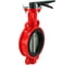 Затвор DN.ru GGG50-316L-EPDM-2W-Fb-ISO-H-RED Ду250 Ру16, с рукояткой, красный D050-119129 1