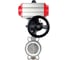 Затвор DN.ru WCB-316L-PTFE Ду125 Ру16, с пн.прив. DA-105, РД HDM-3 D050-95077 1