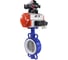 Затвор DN.ru WCB-316L-PTFE Ду100 Ру16, с пн.прив. DA-105, пн.распр. PND2-220VAC NAMUR, БКВ LSB-210 D050-94875 1