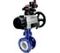 Затвор DN.ru WCB-316-M-F-ISO Ду100 Ру25, с пн.прив. DA-105-1, пн.распр. PND2-220VAC NAMUR, БКВ LSB-210, БПВ D050-94921 1