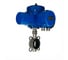 Затвор дисковый поворотный DN.ru 316L-316L-VITON Ду100 Ру16L, эл.привод QT-010 220В D050-93620 1