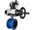 Затвор DN.ru GGG40-304-EPDM-2W-F-H Ду65 Ру16 с пн.прив. DA-105-1, пн.расп. PND2-S1EM-52-1NC-J08-24VDC NAMUR, БКВ LSB-510 и БПВ D050-92195 1