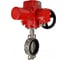 Затвор дисковый поворотный DN.ru 316L-316L-VITON Ду100 Ру16L, эл.привод QT-W (M) EX-010 380В D050-93611 1