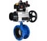 Затвор DN.ru GGG40-304-EPDM-2W-F-H Ду65 Ру16 с пн.прив. DA-105-1, пн.расп. PND2-S1EM-52-1NC-J08-220VAC NAMUR, БКВ LSB-410 и БПВ D050-92155 1
