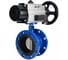 Затвор DN.ru GGG40-304-EPDM-2W-F-H Ду80 Ру16 с пн.прив. DA-105-1 и пн.расп. PND2-S1EM-52-1NC-J08-24VDC NAMUR D050-92172 1