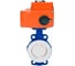 Затвор DN.ru WCB-WCB-PTFE-PTFE-Fb-H Ду65 Ру16, с электроприводом QT2-005-24VDC D050-107690 1