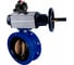 Затвор DN.ru GGG40-304-EPDM-2W-F-H Ду80 Ру16 с пн. приводом DA-105-1 и БКВ LSB-410 D050-92132 1