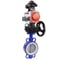 Затвор DN.ru WCB-316L-PTFE Ду50 Ру16, с пн.прив. DA-083, пн.распр. PND1-T08-220VAC NAMUR, БКВ LSB-210, РД HDM-2 D050-118195 1