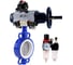 Затвор DN.ru WCB-316L-PTFE Ду40 Ру16, с пн.прив. DA-105-1, пн.распр. PND1-T08-220VAC NAMUR, БКВ LSB-210, БПВ D050-118490 1