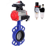Затвор DN.ru WCB-316L-VITON Ду250 Ру16, с пн.прив. DA-140, пн.распр. PND1-T10-220VAC NAMUR, БКВ LSB-210, БПВ D050-118856