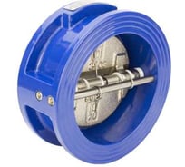 Обратный клапан межфланцевый Reon Ду80, тип RSV32, PN16, Tmax=120°C, RAL5005, 080RSV32-new