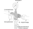 Пятивыводной штуцер TEBO 1" латунь T-КДН.П.1.CN 4