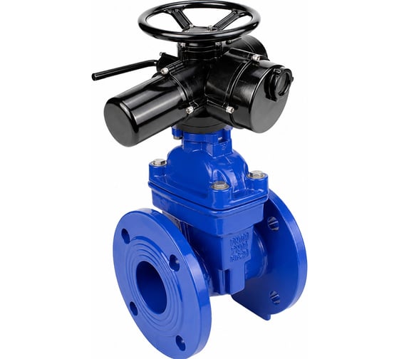 Задвижка клиновая DN.ru 30ч939р GGG50-GGG50-EPDM-BLUE Ду65 Ру10/16 фланцевая, c ОСТ-фланцем тип А, цвет - синий, с электроприводом JW-007-380V D040-11408