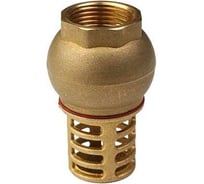 Обратный донный клапан MVI 1" CV.630.06