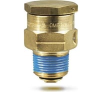 Сливной клапан для газгольдера Cavagna Group VL13 6902900008